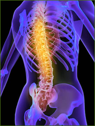 Chiropractor Atlanta Sciatica