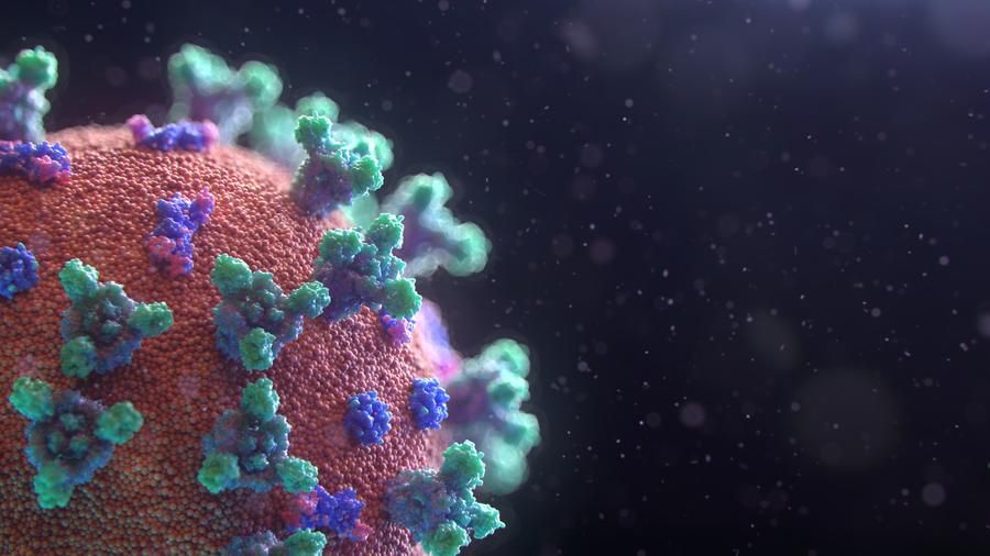 An Update About How We're Responding To COVID-19 (Coronavirus)