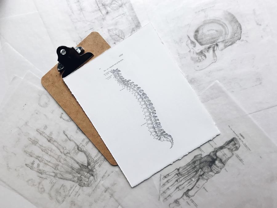 Spine Pain Patient Supplementary Care